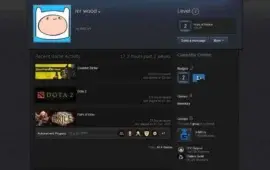 steam-profile-mr-wood