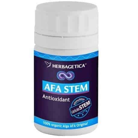 produse herbagetica