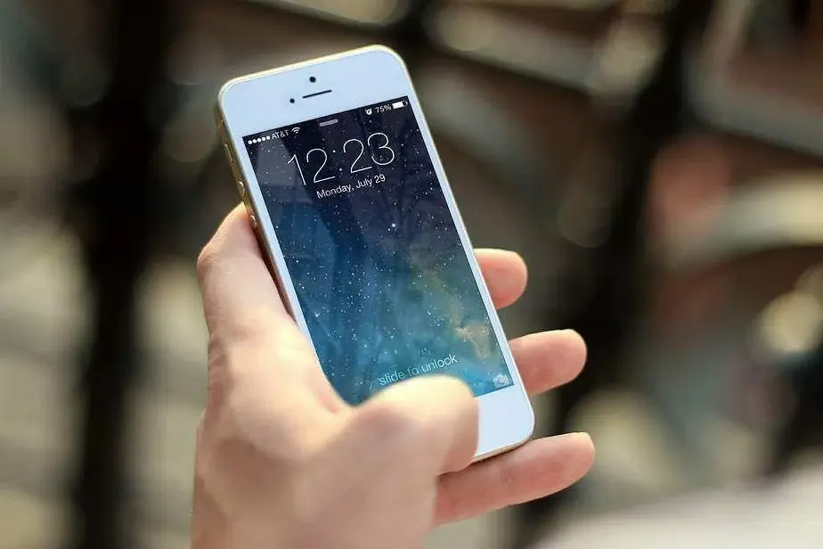 Accesorii pentru telefoane mobile in premiera!